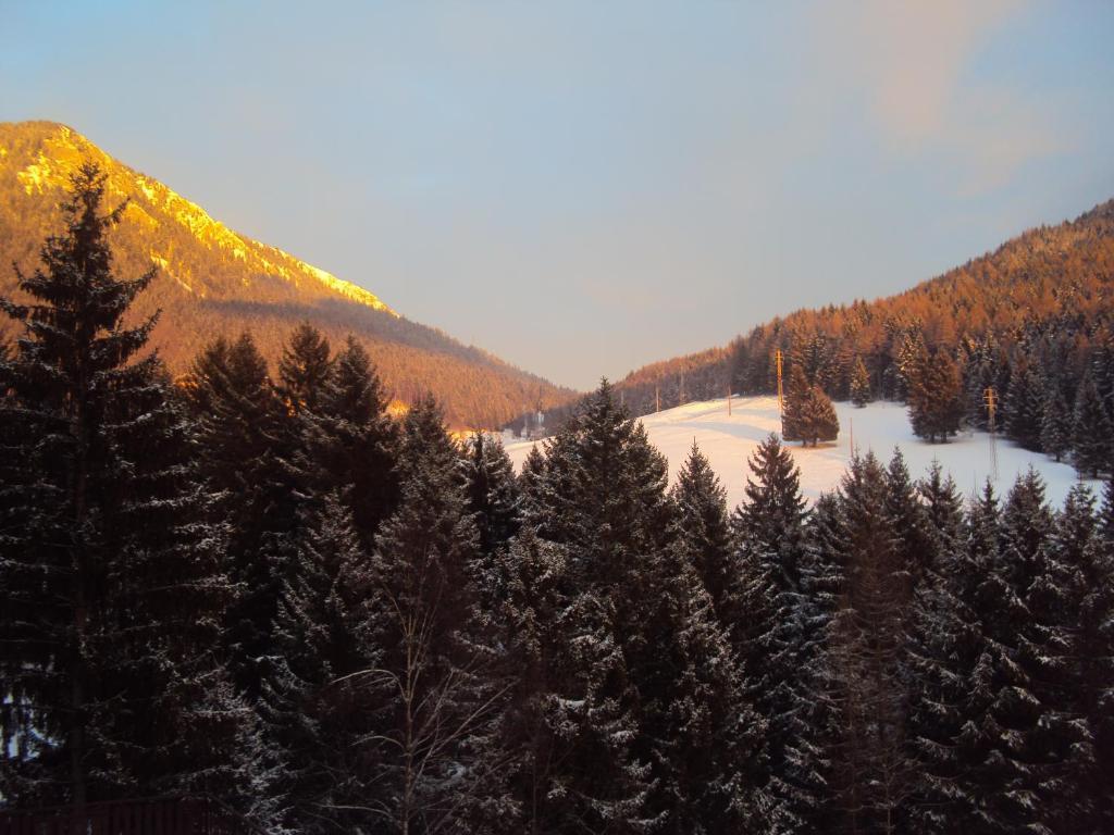 Hotel Des Alpes Castione della Presolana Pokój zdjęcie