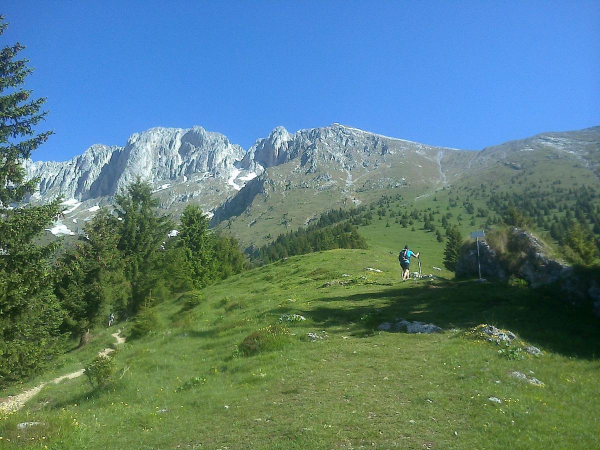 Hotel Des Alpes Castione della Presolana Zewnętrze zdjęcie