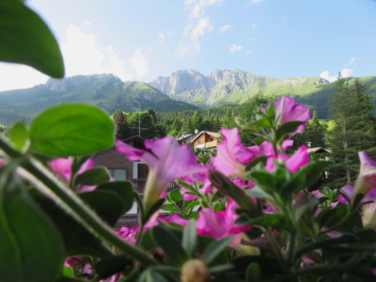 Hotel Des Alpes Castione della Presolana Zewnętrze zdjęcie