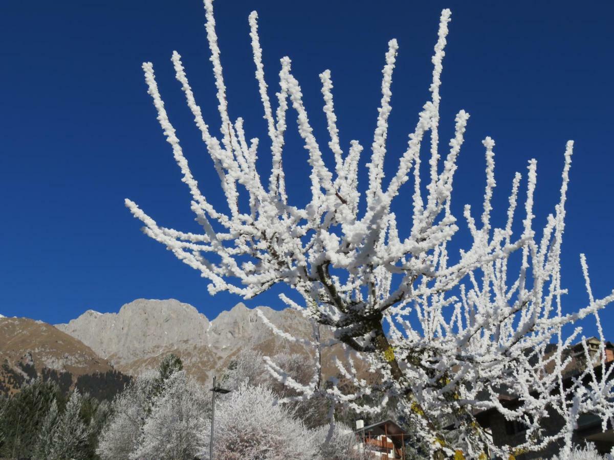 Hotel Des Alpes Castione della Presolana Zewnętrze zdjęcie